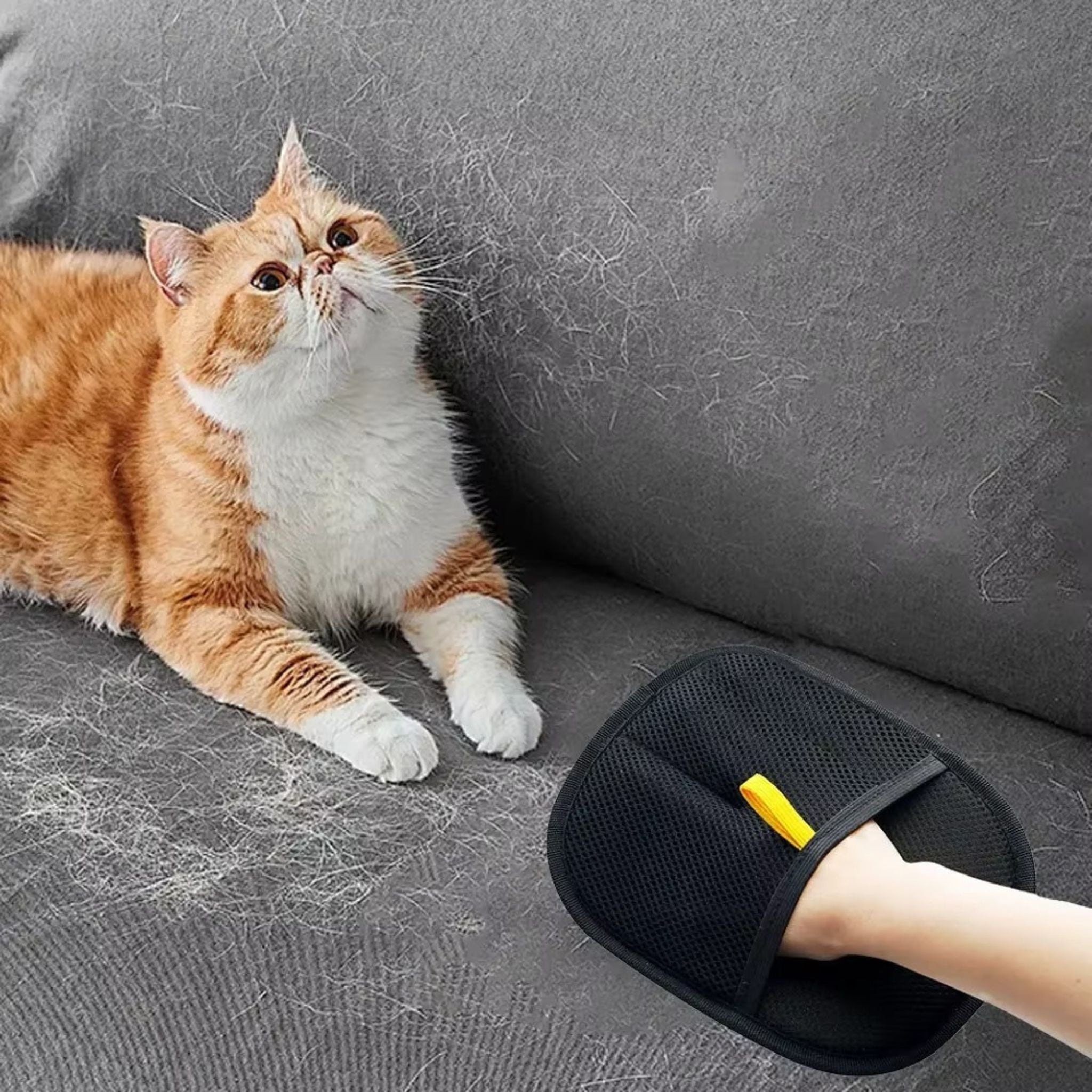 Pet Hair Removal Glove