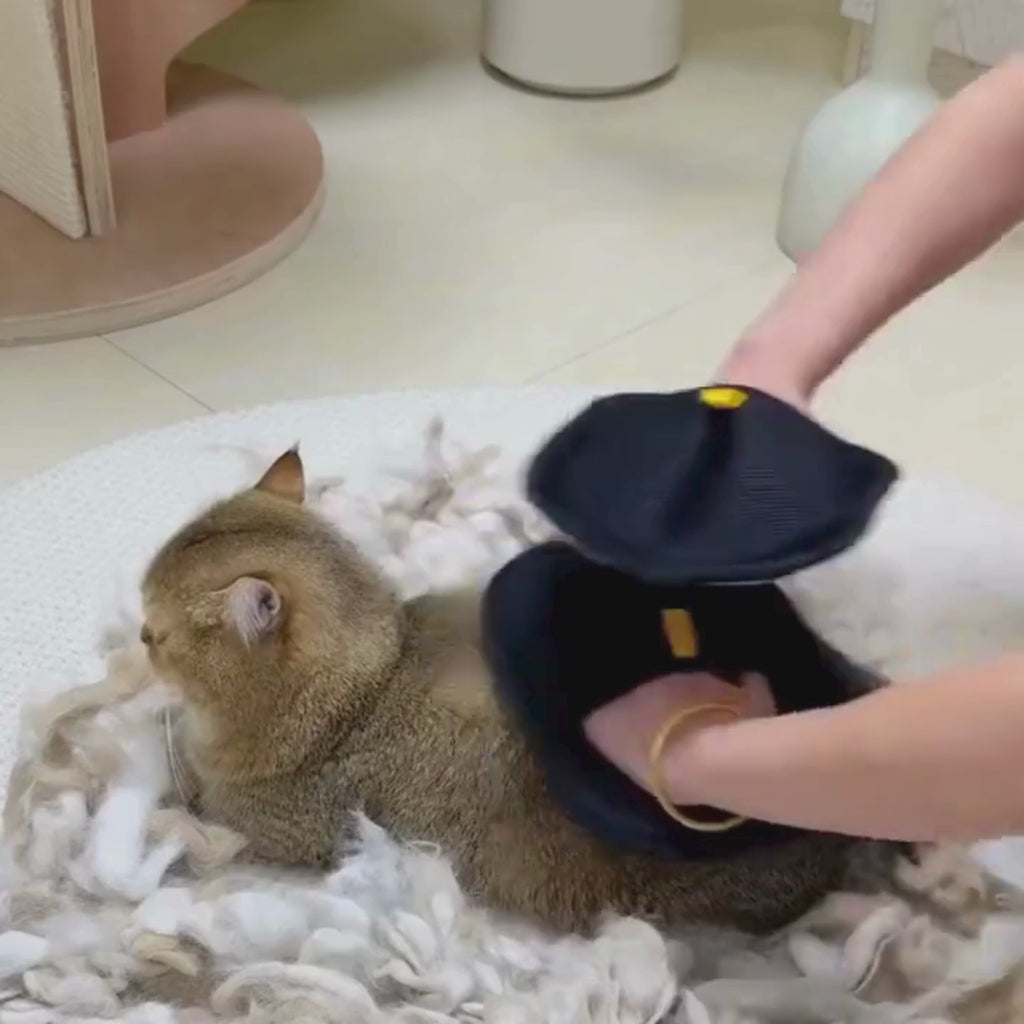 Pet Hair Removal Glove